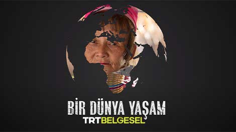 Bir Dünya Yaşam